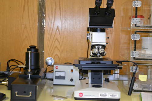 MBE Growth Facility for Compound Semiconductors